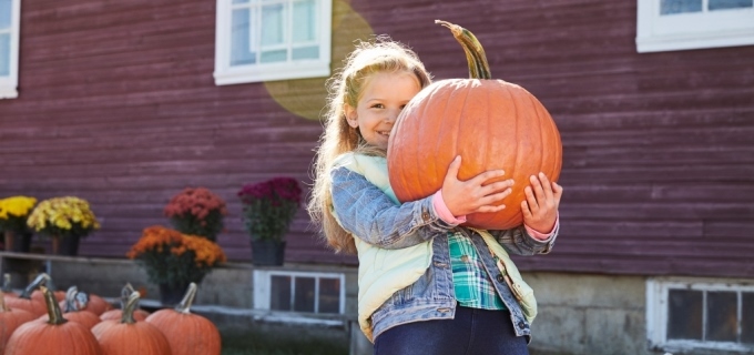 Ghoulishly Good Tips for a Healthy and Safe Halloween