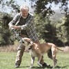 One Easy Way to Stay with Blue for Medicare