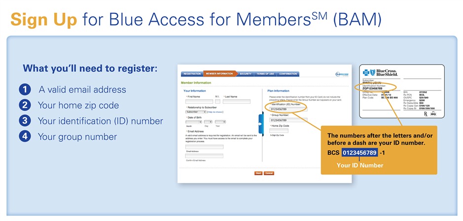 Blue Acces for Members