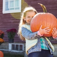 https://connect.bcbsnm.com/cfs-file/__key/communityserver-blogs-components-weblogfiles/00-00-00-00-02/pumpkinBrandS36081.jpg