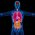 10 Ways Alcohol Affects Your Body